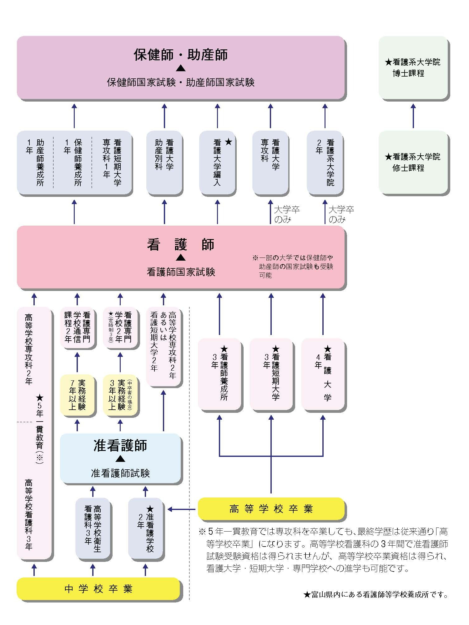 看護職の資格取得までのコース